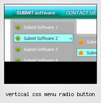 Vertical Css Menu Radio Button