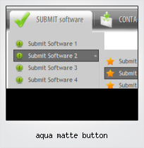 Aqua Matte Button