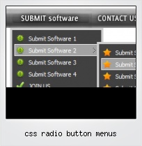 Css Radio Button Menus