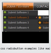 Css Radiobutton Examples Like Mac