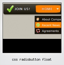 Css Radiobutton Float