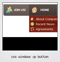 Css Windows Xp Button