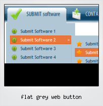 Flat Grey Web Button
