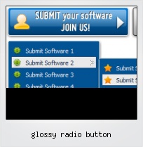 Glossy Radio Button