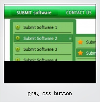 Gray Css Button