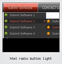 Html Radio Button Light
