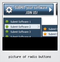 Picture Of Radio Buttons
