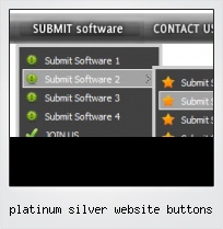 Platinum Silver Website Buttons