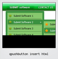 Qpushbutton Insert Html