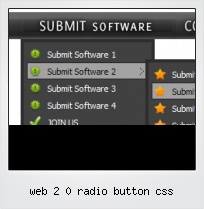 Web 2 0 Radio Button Css