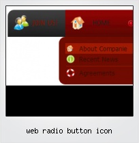 Web Radio Button Icon